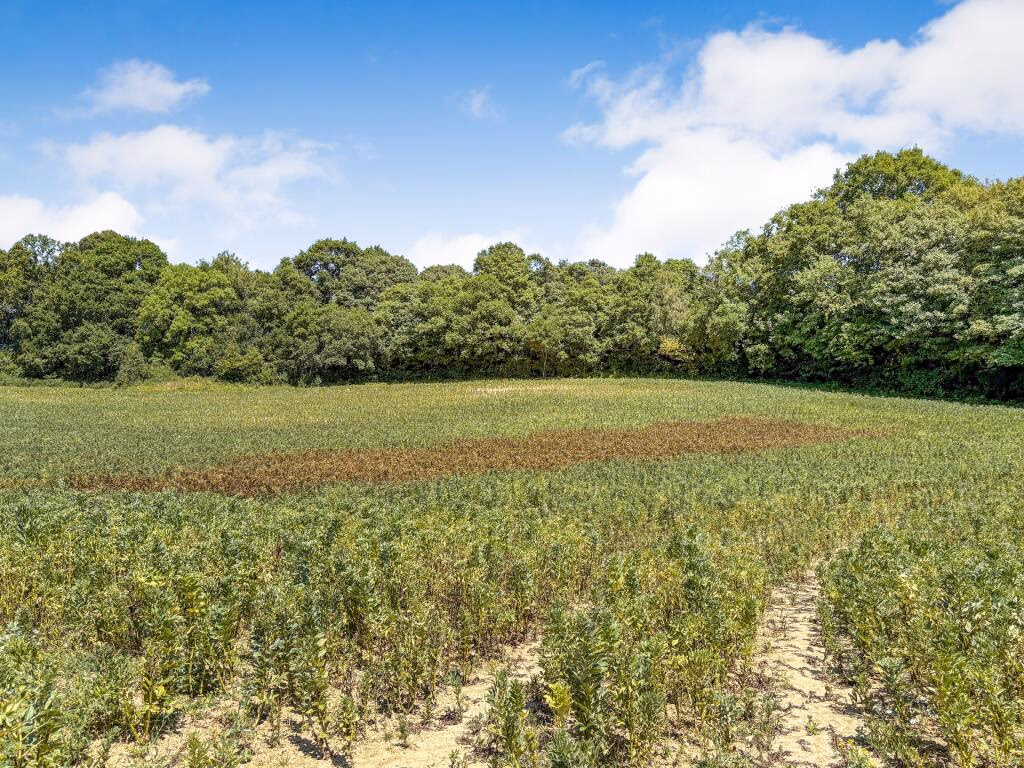 Land for sale - Image 4