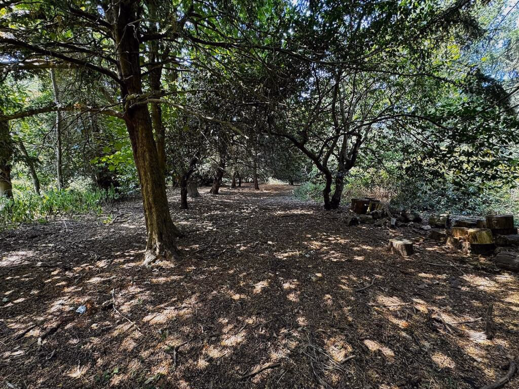 Land for sale - Image 5