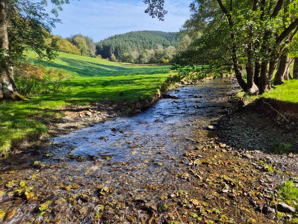 Land for sale - Image 1