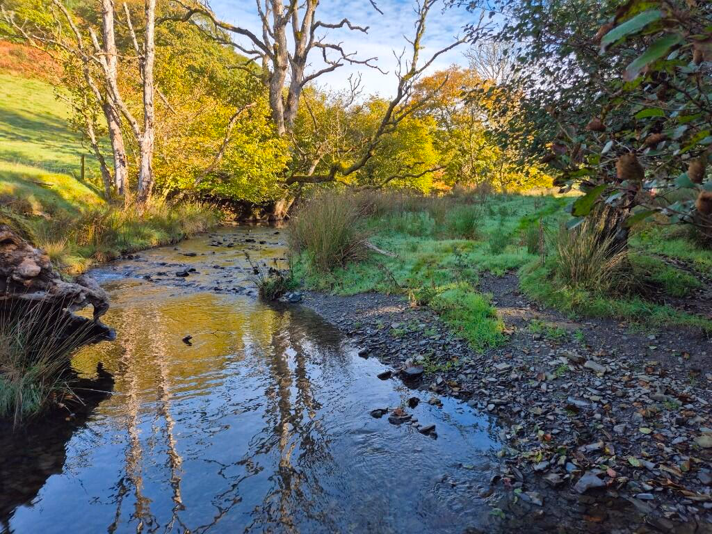 Land for sale - Image 4