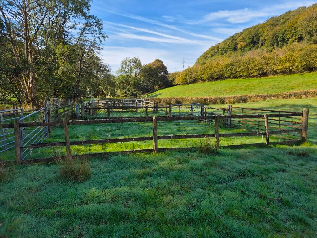 Land for sale - Image 5