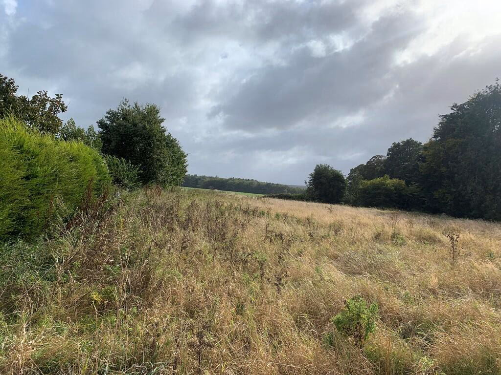 Land for sale - Image 4