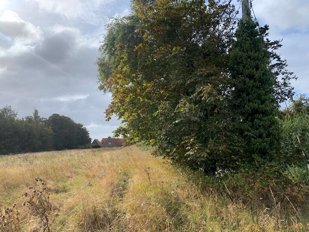 Land for sale - Image 5