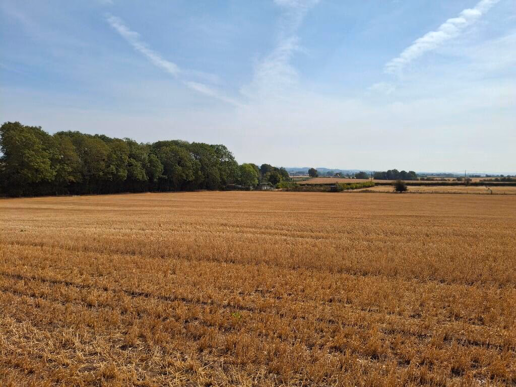 Land for sale - Image 1