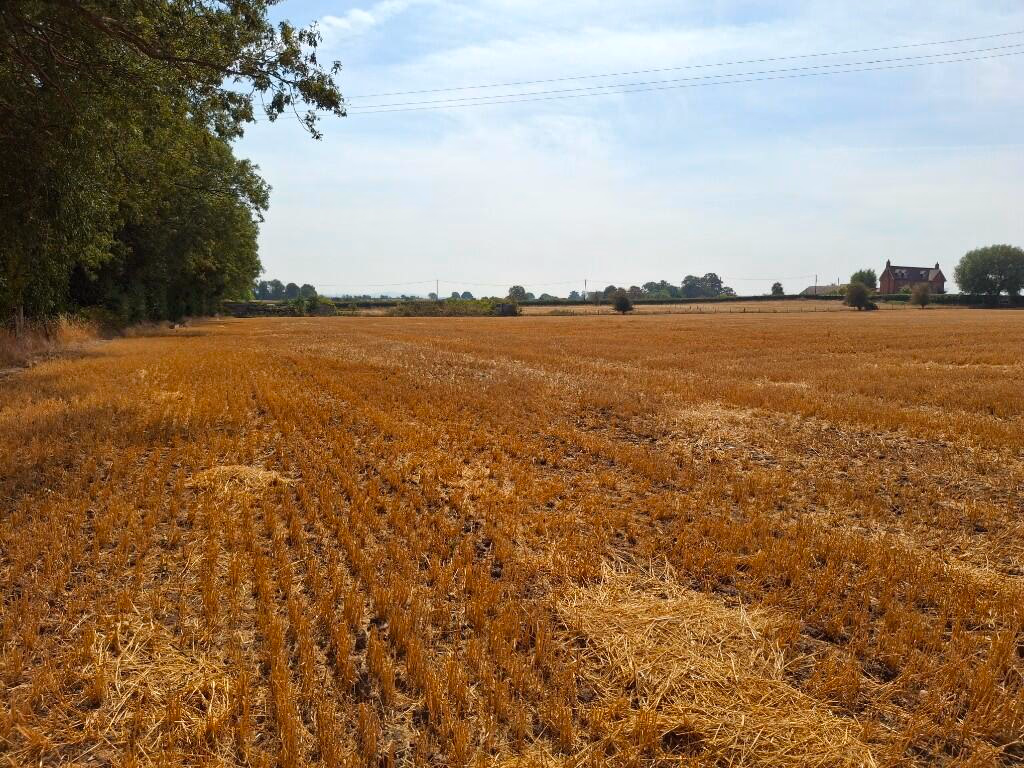 Land for sale - Image 2