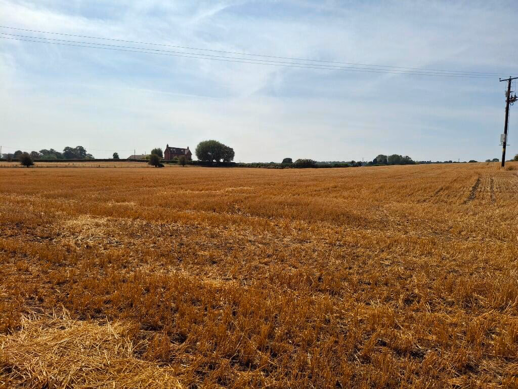 Land for sale - Image 3