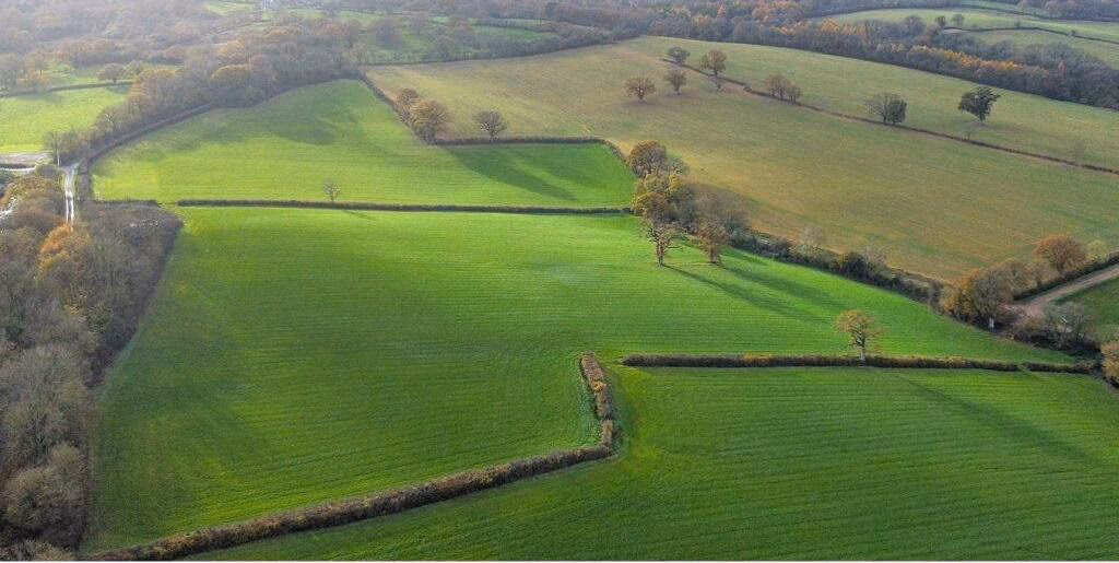 Land for sale - Image 1