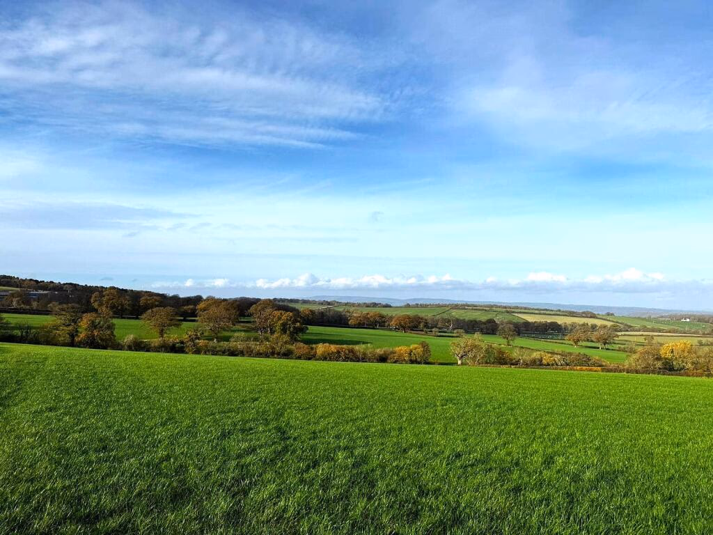 Land for sale - Image 2