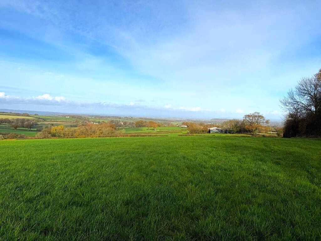 Land for sale - Image 3