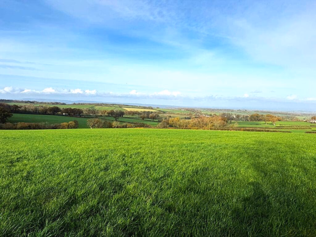 Land for sale - Image 5