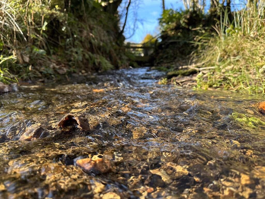 Land for sale - Image 5