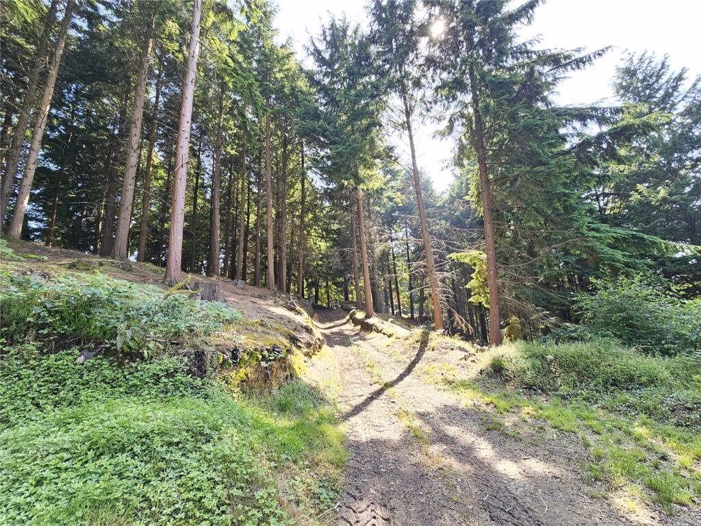 Land for sale - Image 4