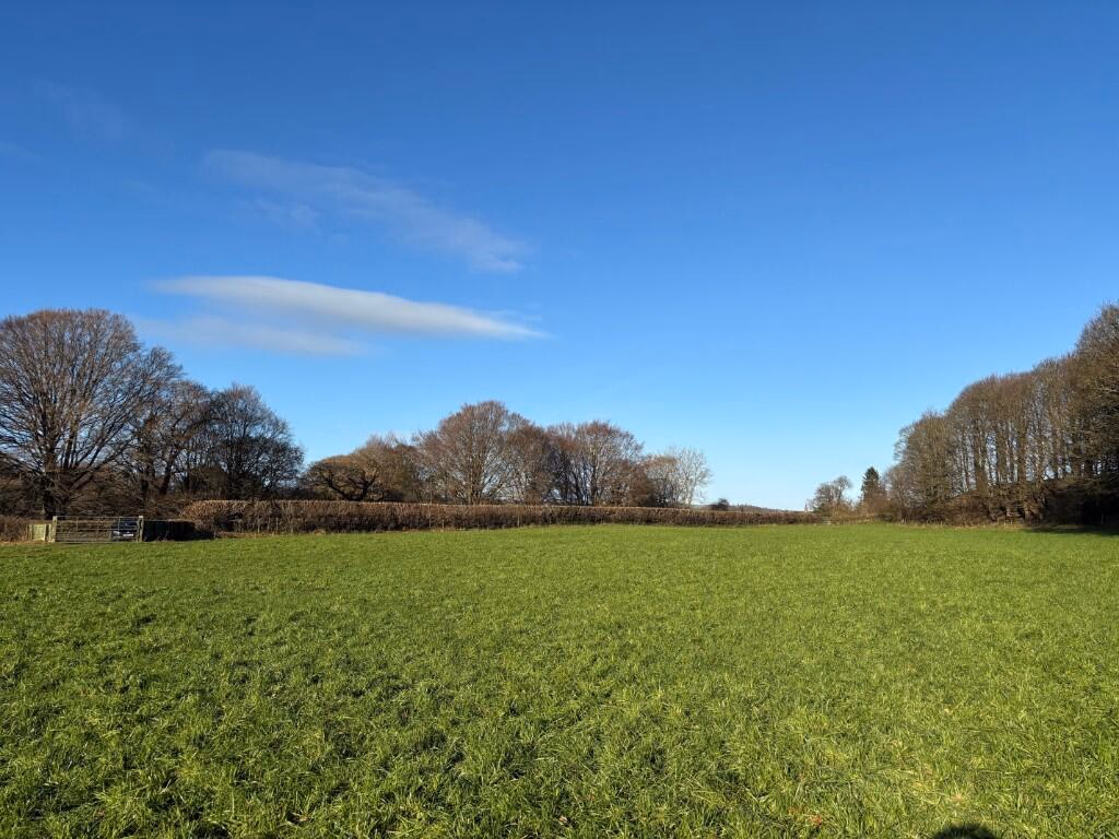 Land for sale - Image 3