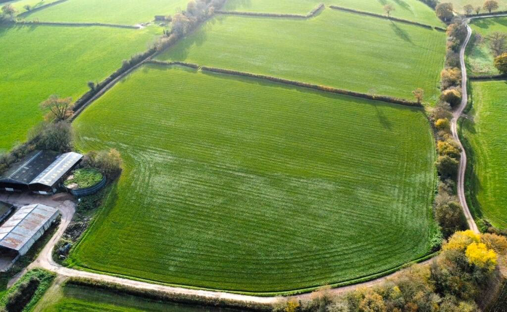 Land for sale - Image 1