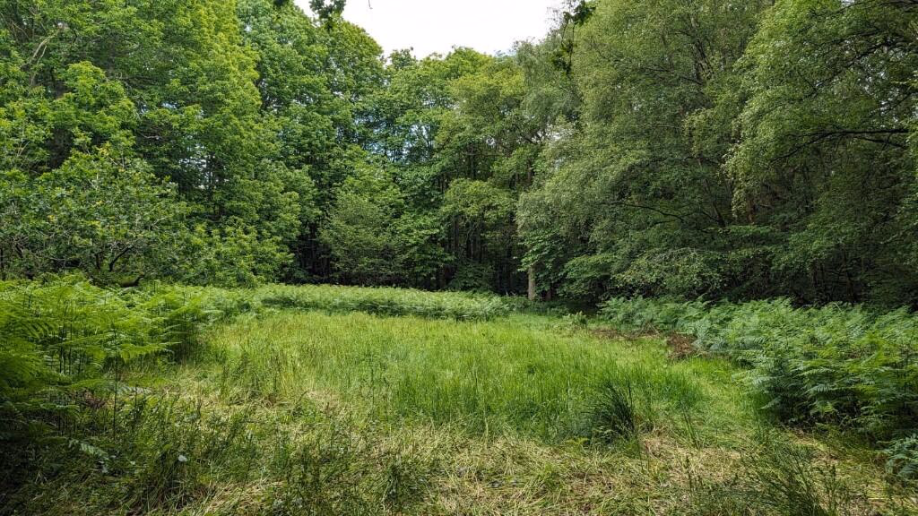 Land for sale - Image 3