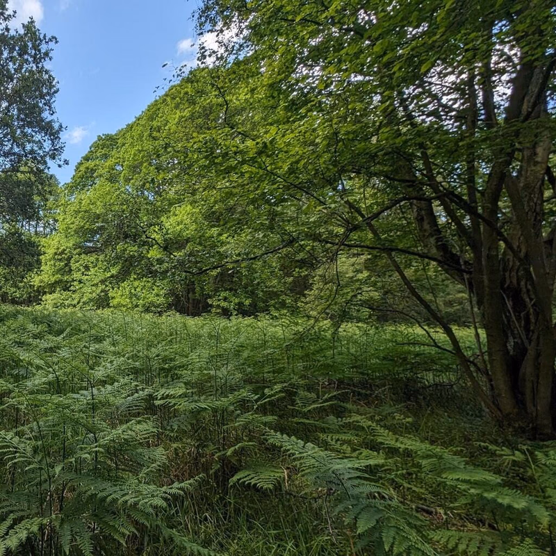 Land for sale - Image 4