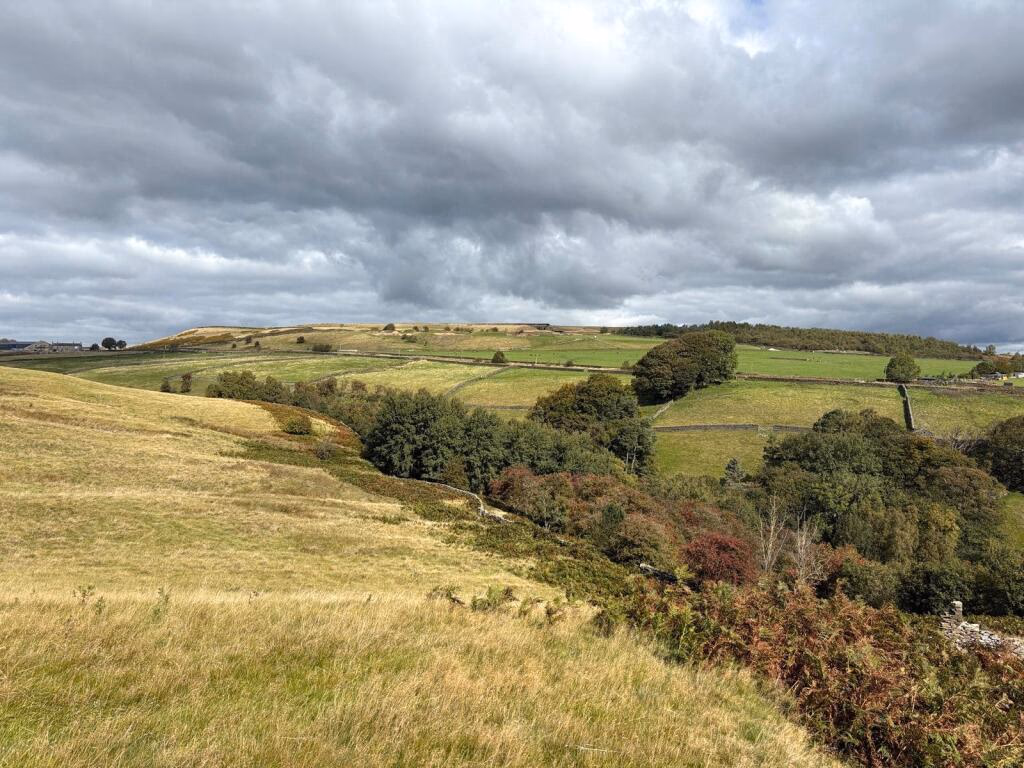 Land for sale - Image 2