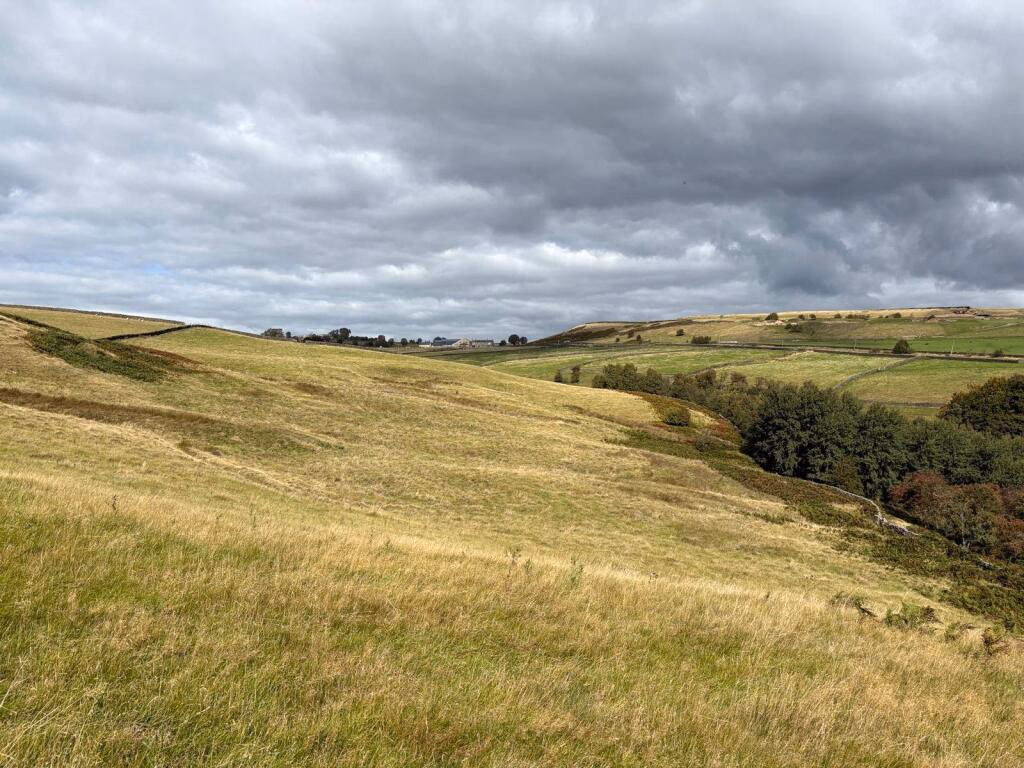 Land for sale - Image 3