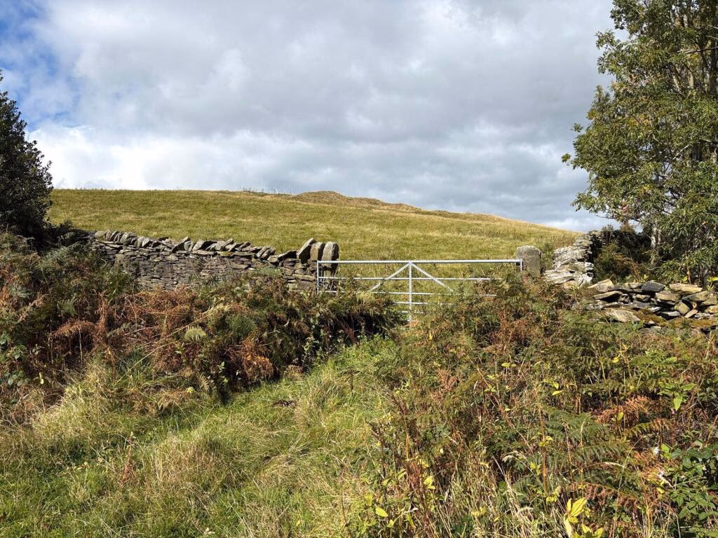 Land for sale - Image 4