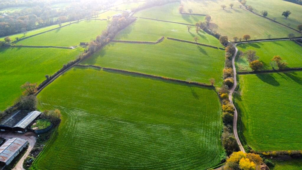 Land for sale - Image 1