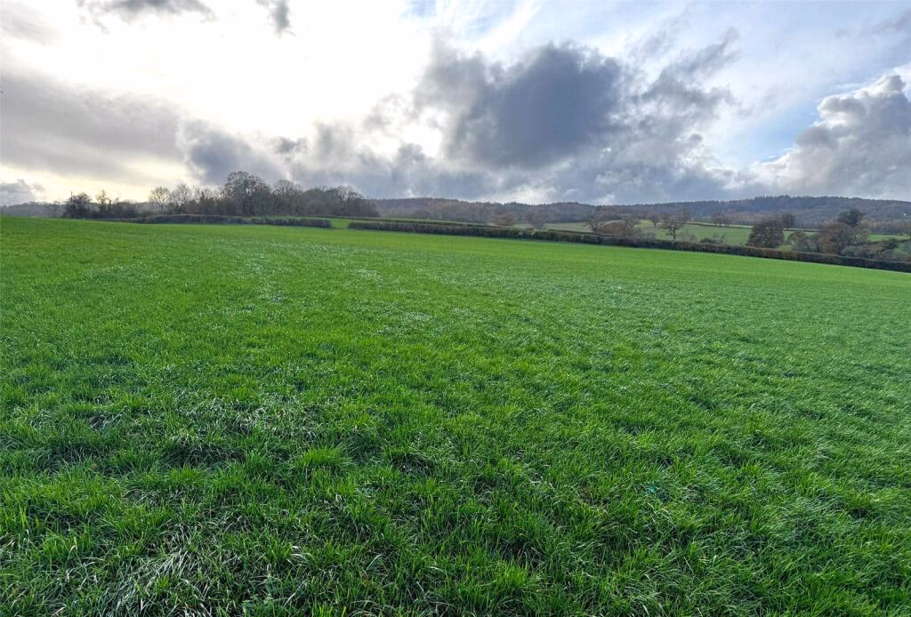 Land for sale - Image 3