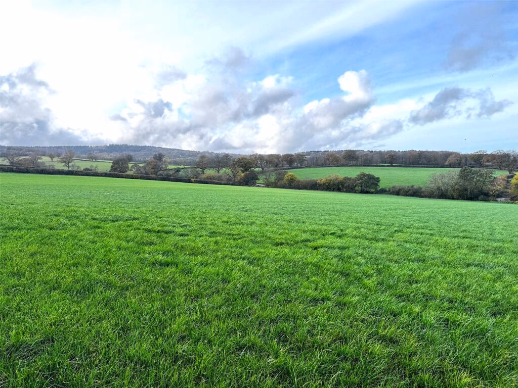 Land for sale - Image 4