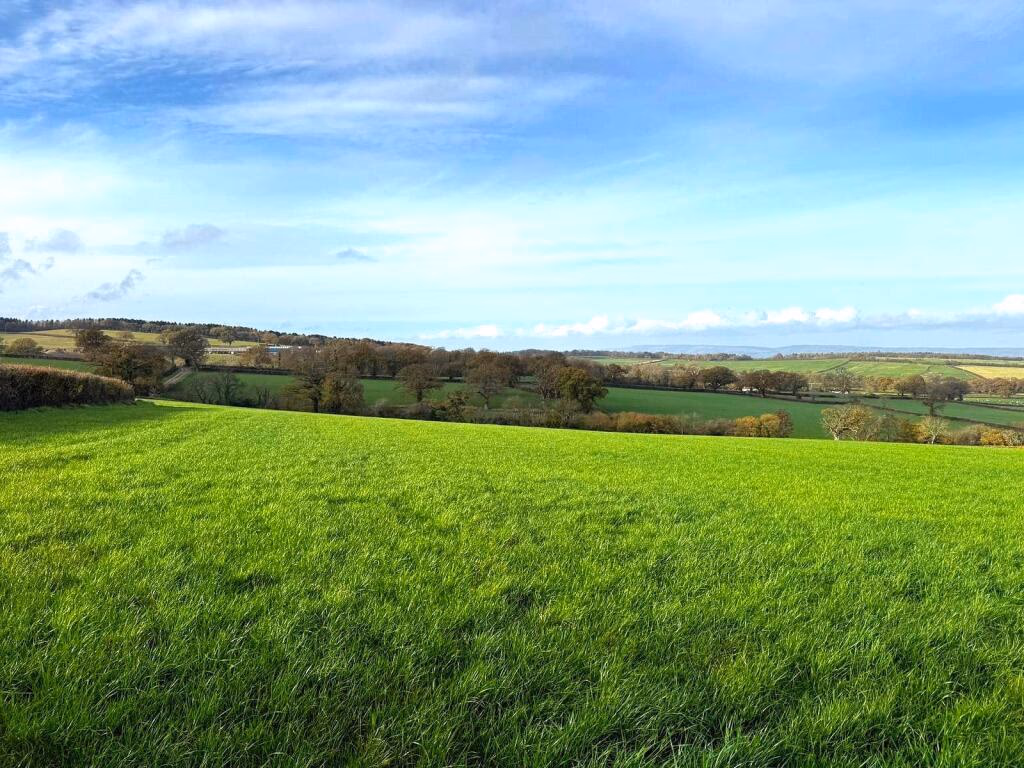 Land for sale - Image 5