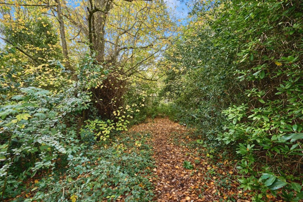 Land for sale - Image 4