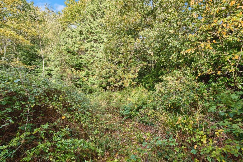 Land for sale - Image 5