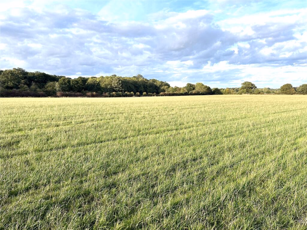 Land for sale - Image 2