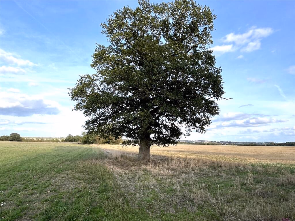 Land for sale - Image 5