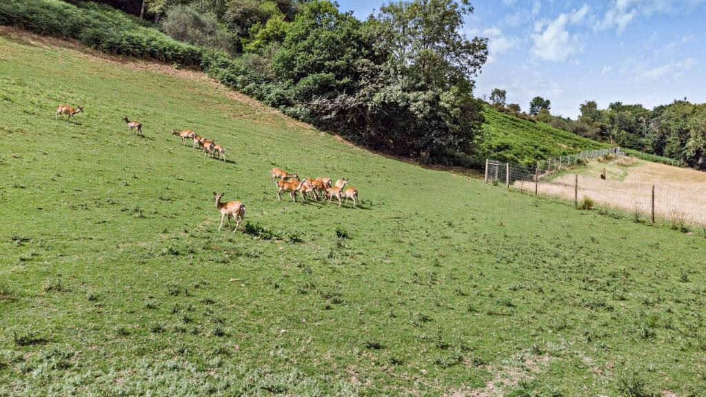 Land for sale - Image 4