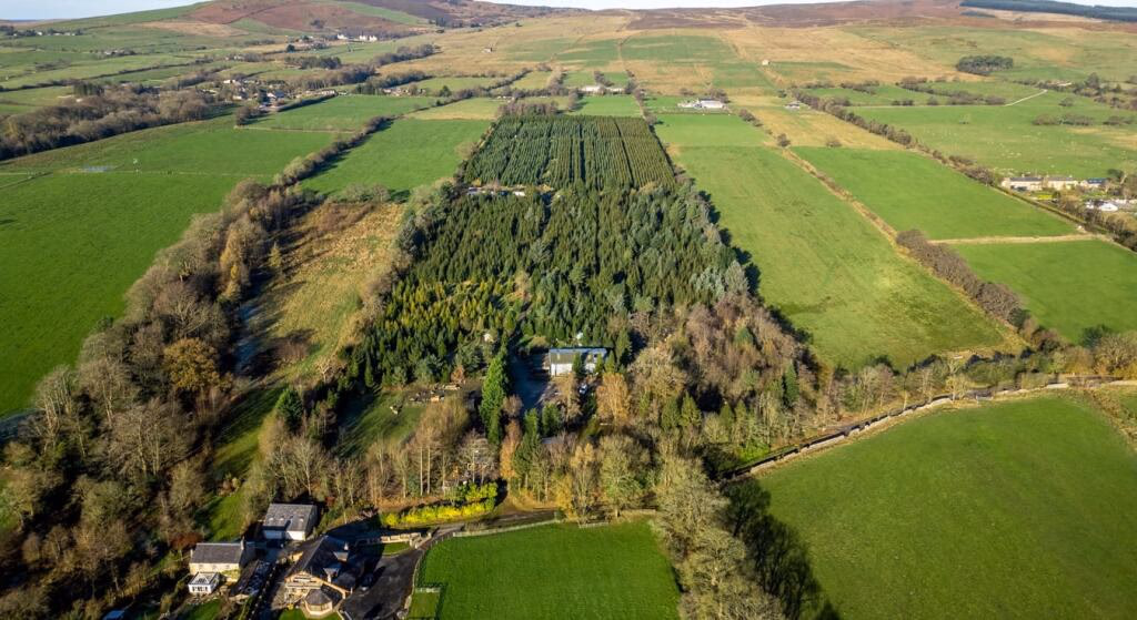 Land for sale - Image 1