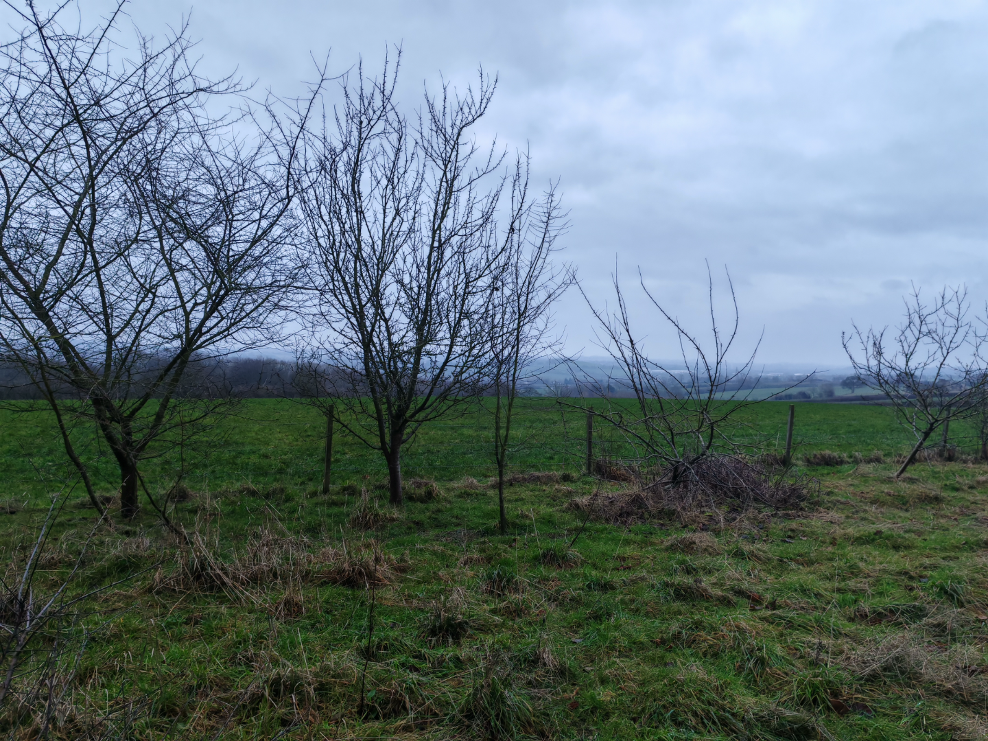 Development Opportunity - ListingImage 2