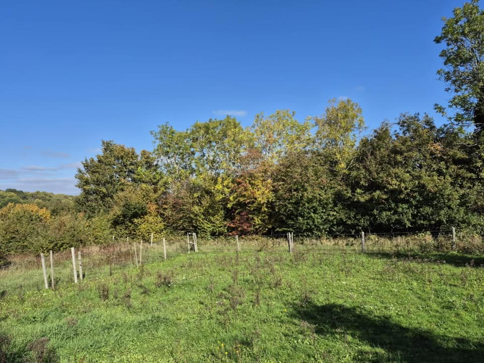 Land at Keston - ListingImage 2