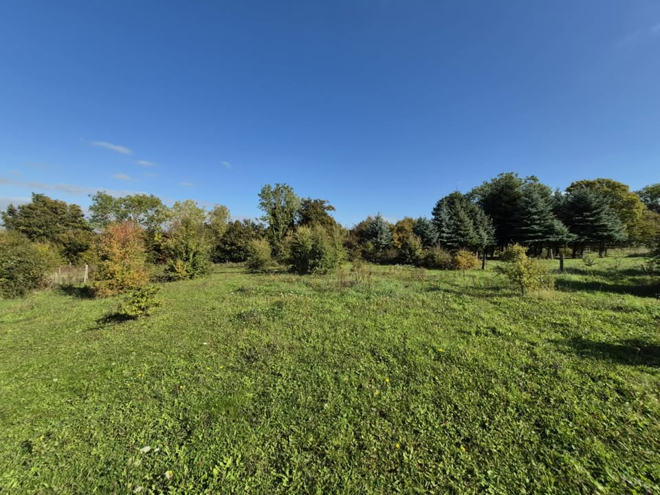 Land at Keston - ListingImage 3