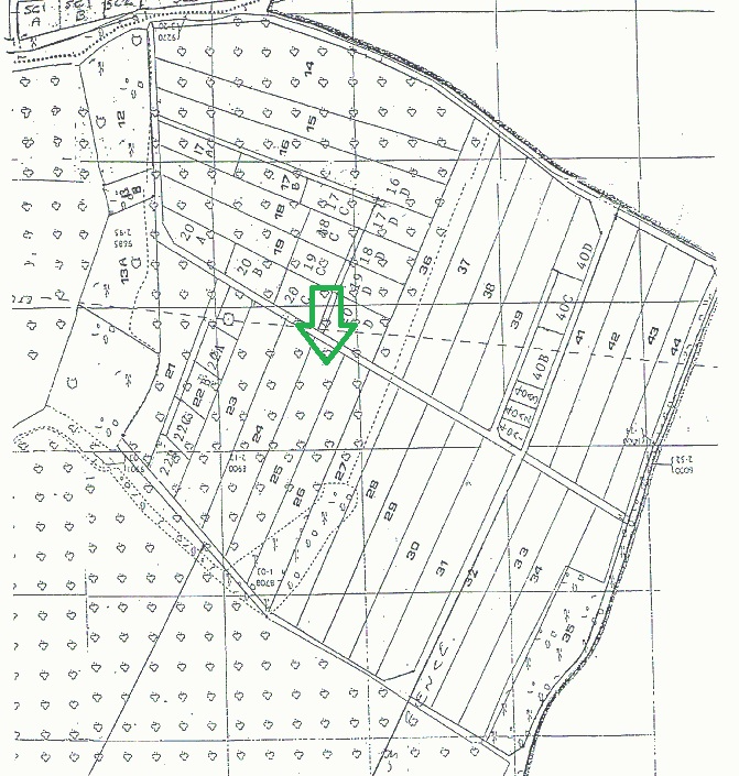 Land at Keston - ListingImage 5