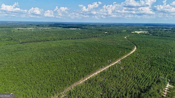 1-Acre Freehold Land for Sale in Askham Bryan, York – Flat Agricultural Plot with Full Documentation - ListingImage 1