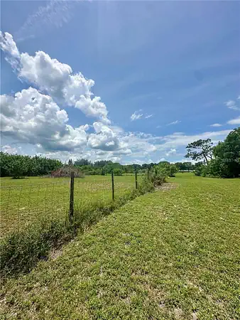 Flat 1-Acre Freehold Land – Rare Opportunity for Investors - ListingImage 3