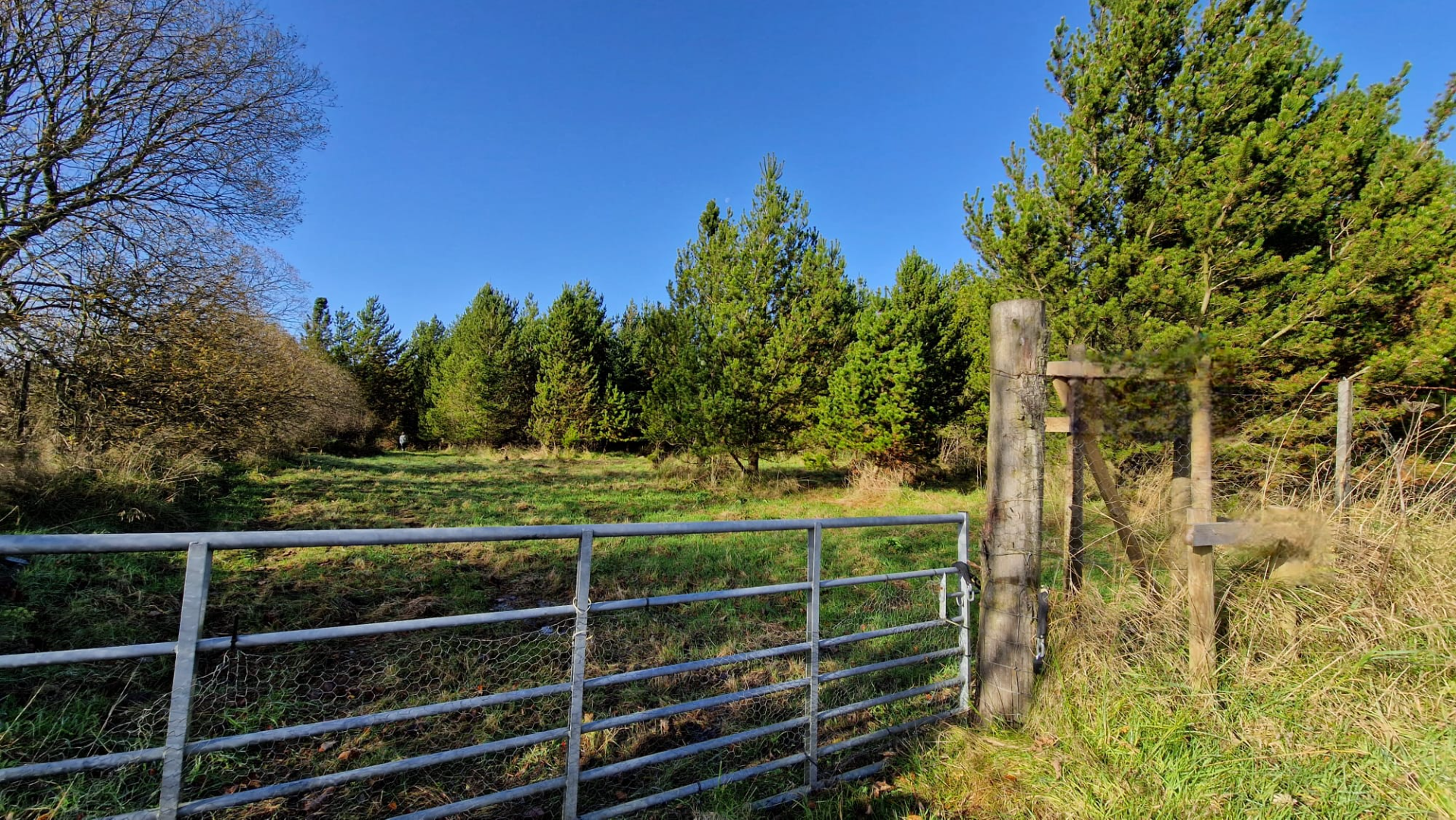 Land for sale in scottish-borders - 7.0 Acre woodland, Cumbria near Scottish borders. - farm land available on Landlister