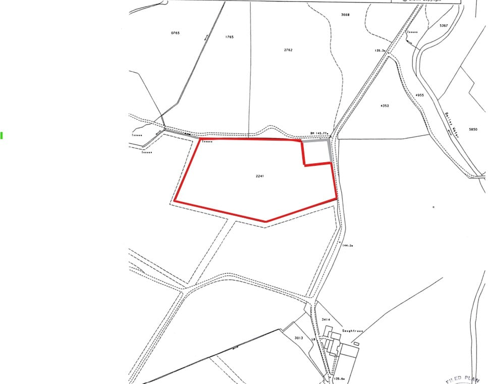 7.0 Acre woodland, Cumbria near Scottish borders.  - ListingImage 5