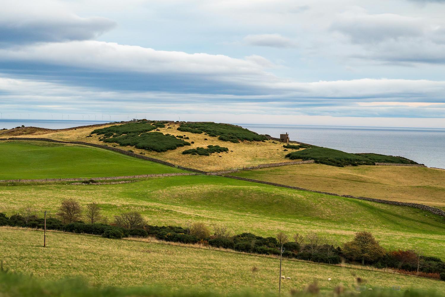 The Impact of Land-Use Change on Food Security in the UK