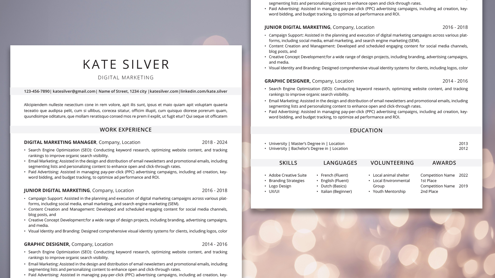 Resume Template / CV - Adobe InDesign & Illustrator