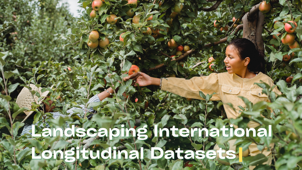 Landscaping longitudinal datasets