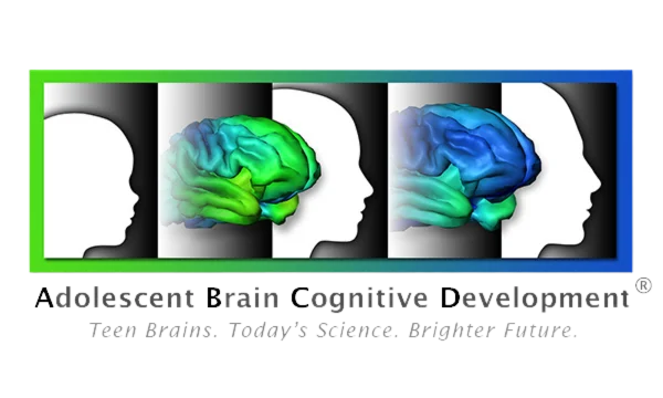 Adolescent Brain Cognitive Development Study logo