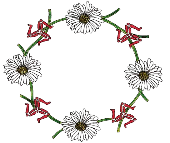 Isle of Man Birth Cohort Study logo