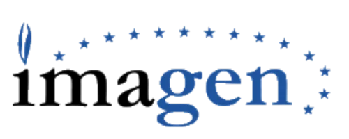 IMAGEN Study logo