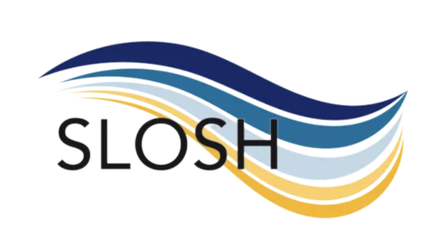 Swedish Longitudinal Occupational Survey of Health logo