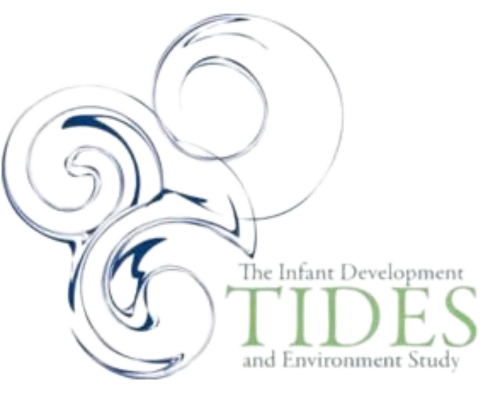The Infant Development and Environment Study logo