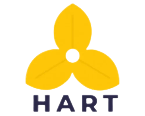 Health, Aging and Retirement in Thailand logo